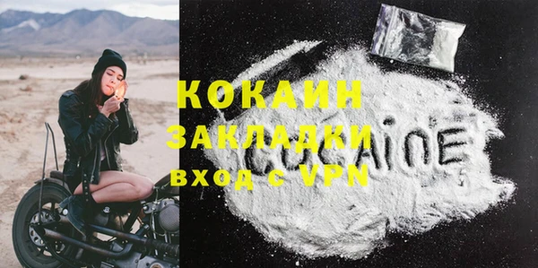PSILOCYBIN Дмитриев