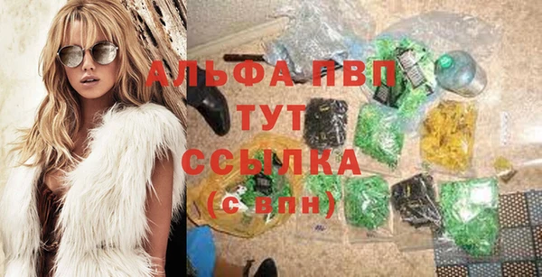PSILOCYBIN Дмитриев