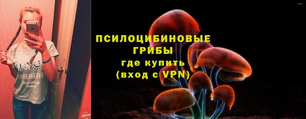 PSILOCYBIN Дмитриев