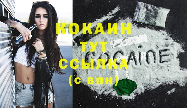 PSILOCYBIN Дмитриев