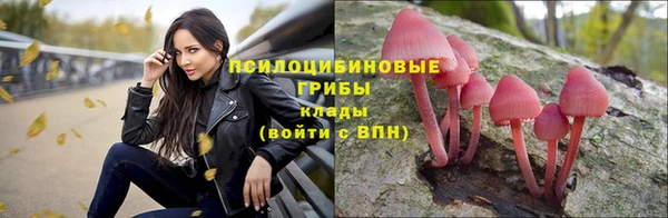 кокаин Дмитров