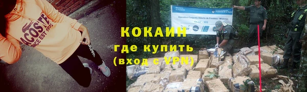 PSILOCYBIN Дмитриев