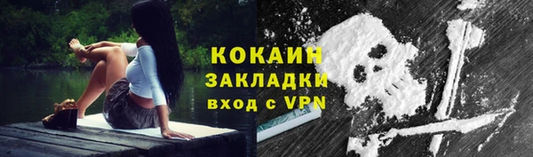 PSILOCYBIN Дмитриев