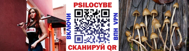 Псилоцибиновые грибы Cubensis  Купить где  Кирово-Чепецк 